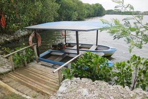 simple wooden boat on the edge of the swamp photo