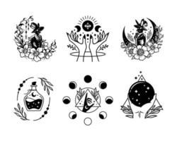 Magic and Celestial Collections vector