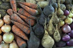 primer plano de verduras orgánicas frescas, zanahorias, cebollas, nabos, patatas y remolachas. mercado en ulan bator, mongolia foto