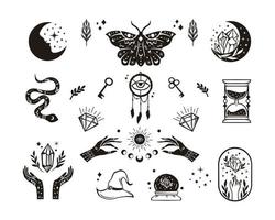 Magic and Celestial Collections vector