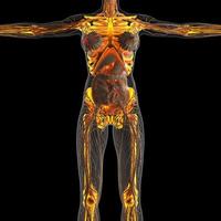 science anatomy of human body in x-ray with glow skeleton bones photo