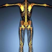 science anatomy of human body in x-ray with glow skeleton bones photo