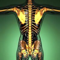 science anatomy of human body in x-ray with glow skeleton bones photo