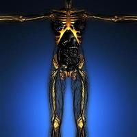 science anatomy of human body in x-ray with glow skeleton bones photo