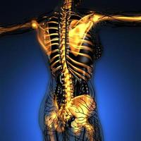 science anatomy of human body in x-ray with glow skeleton bones photo