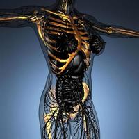 science anatomy of human body in x-ray with glow skeleton bones photo