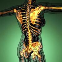 science anatomy of human body in x-ray with glow skeleton bones photo