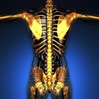 science anatomy of human body in x-ray with glow skeleton bones photo