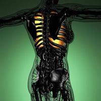 science anatomy of woman body with glow lungs photo