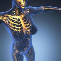 science anatomy of human body in x-ray with glow skeleton bones photo