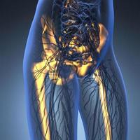 science anatomy of human body in x-ray with glow skeleton bones photo