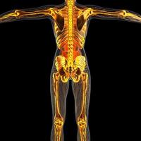 science anatomy of human body in x-ray with glow skeleton bones photo