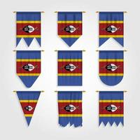 Eswatini flag in different shapes vector