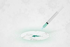 concepto de vacunación de corea del norte, inyección de vacuna en el mapa de corea del norte. vacuna y vacunación contra el coronavirus, covid-19. vector