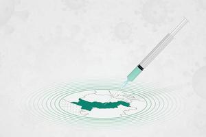 concepto de vacunación de pakistán, inyección de vacuna en el mapa de pakistán. vacuna y vacunación contra el coronavirus, covid-19. vector