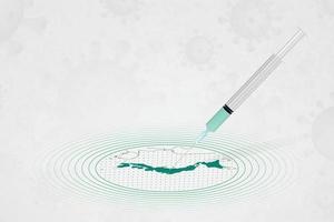 concepto de vacunación de japón, inyección de vacuna en el mapa de japón. vacuna y vacunación contra el coronavirus, covid-19. vector