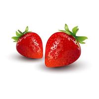 red strawberry illustration. fresh strawberries on a white background vector