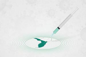 concepto de vacunación de florida, inyección de vacuna en el mapa de florida. vacuna y vacunación contra el coronavirus, covid-19. vector