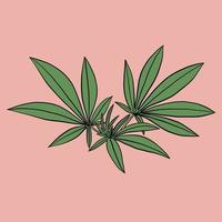 simplicidad hoja de cannabis dibujo a mano alzada diseño plano. vector