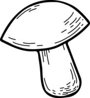 Mushroom. Plant. Vector illustration. Linear hand drawing