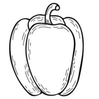 Vegetable. Beautiful ripe fruit - pepper. Vector illustration. Hand drawn doodle line drawing, outline for design and decoration, decor
