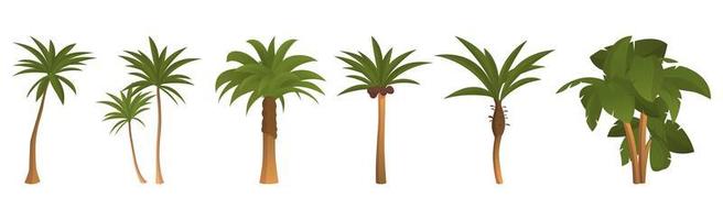 Set of 6 pcs palm trees on a white background - Vector