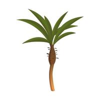 Realistic tall green palm tree isolated on white background - Vector