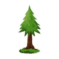 Realistic dense green spruce isolated on white background - Vector