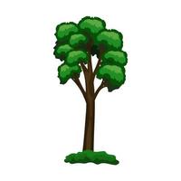 Realistic green tall pine tree isolated on white background - Vector