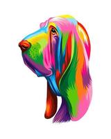 Abstract Basset Hound head portrait, Bloodhound head portrait from multicolored paints. Colored drawing. Puppy muzzle portrait, dog muzzle. Vector illustration of paints