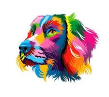 Abstract spaniel dog head portrait from multicolored paints. Puppy muzzle portrait, dog muzzle. Colored drawing. Vector illustration of paints