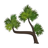 Realistic green palm isolated on white background - Vector