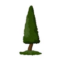 Realistic dense green spruce isolated on white background - Vector