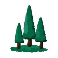 Realistic dense green fir trees on white background - Vector
