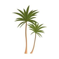 Realistic tall green palm trees isolated on white background - Vector