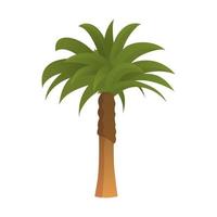 Realistic tall green palm tree isolated on white background - Vector