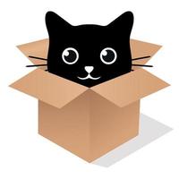 lindo gatito negro en una caja vector