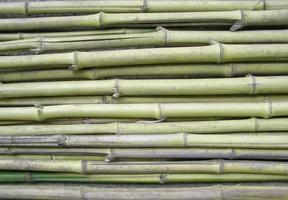 green bamboo wood texture background photo