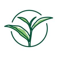 Té verde fresco logotipo abstracto símbolo icono vectorial ilustración diseño gráfico vector