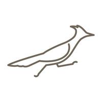 líneas pájaro road runner logo símbolo vector icono ilustración diseño gráfico