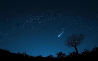 fondo de cielo nocturno con estrellas, estrella fugaz y silueta de árbol vector