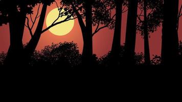 Tree silhouette on forest sunset vector