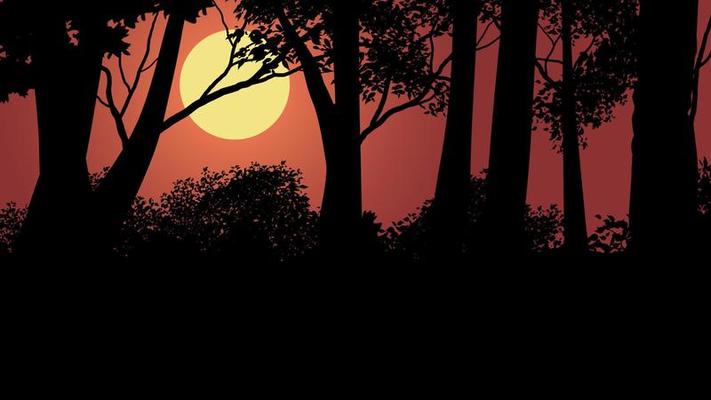 Tree silhouette on forest sunset