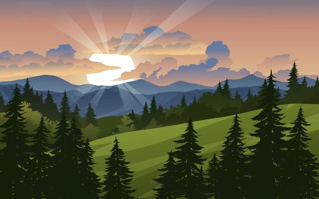 Sunset in forest with pine trees, mountain and valley