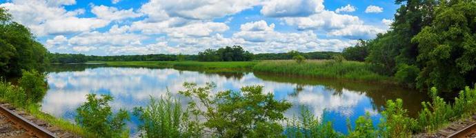 Lake in city park with trees Beautiful summer landscape photo