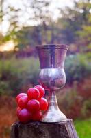 vino uvas vaso de festividades judías foto