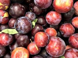 macro photo red plums. Stock photo red plum fruit background