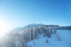 mountain landscape in the winter photo