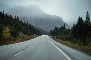Asphalt road with Rocky mountains in gloomy day on autumn at Banff national park photo