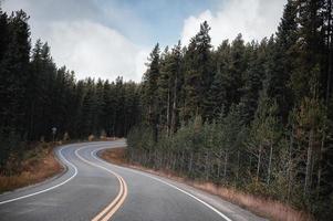 Winding asphalt road through pine forest in autumn at national park photo